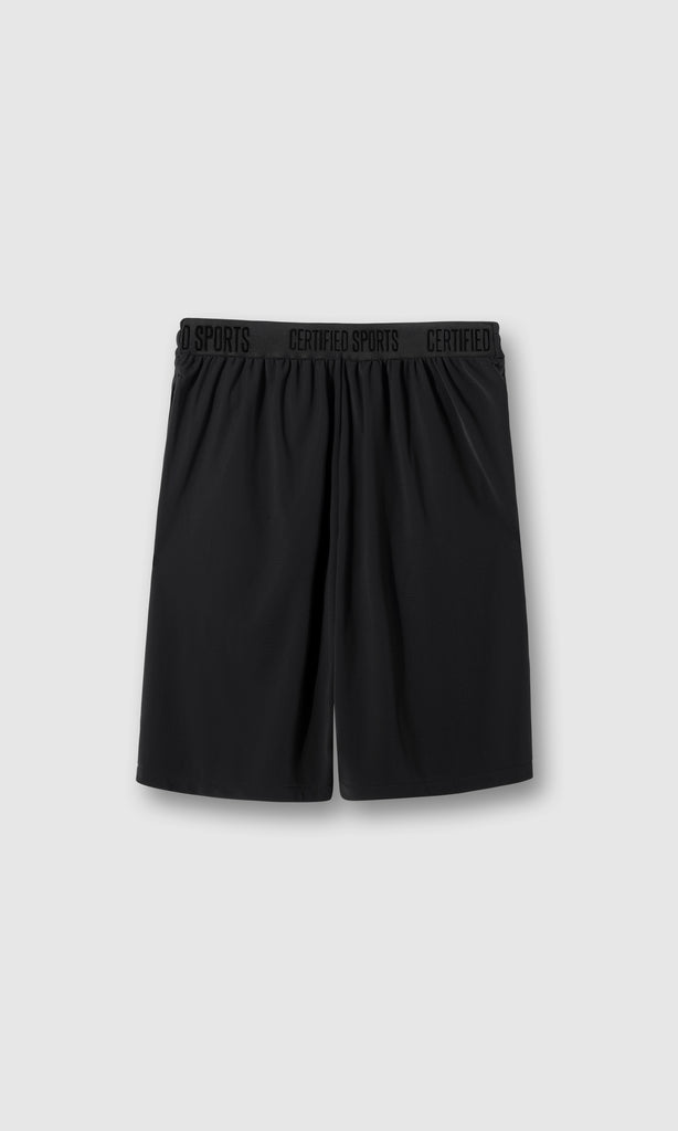 THE BASKETBALL SHORTS